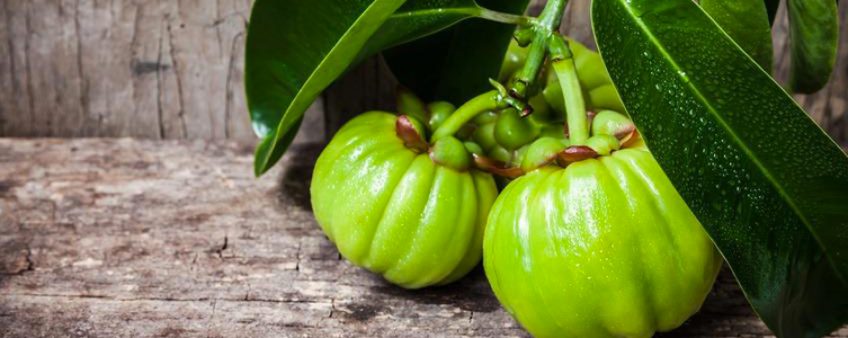 L’effet brûle-graisse de Garcinia Cambogia