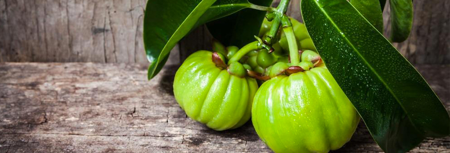 Garcinia Cambogia