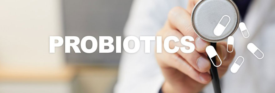 perte de poids par les probiotiques